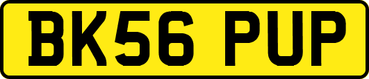 BK56PUP