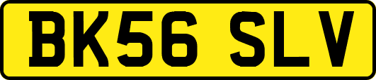 BK56SLV