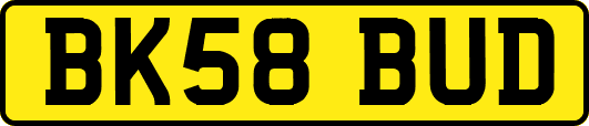 BK58BUD