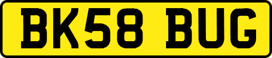 BK58BUG