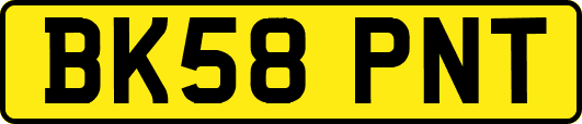 BK58PNT