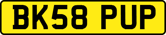 BK58PUP