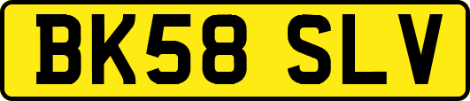 BK58SLV