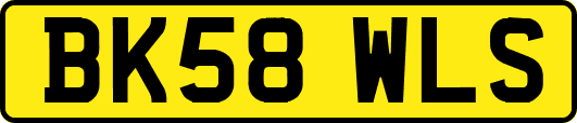BK58WLS