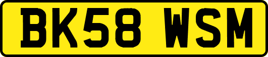 BK58WSM