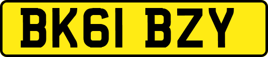BK61BZY