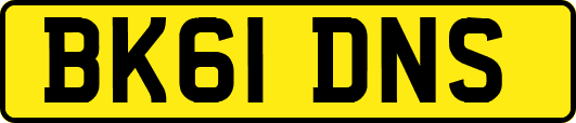 BK61DNS