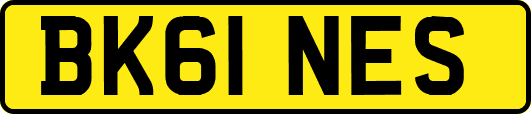 BK61NES