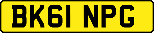 BK61NPG