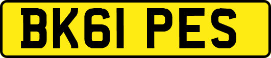 BK61PES