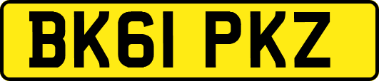 BK61PKZ
