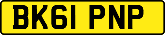 BK61PNP