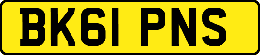 BK61PNS