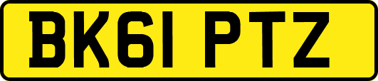 BK61PTZ
