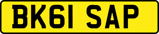 BK61SAP