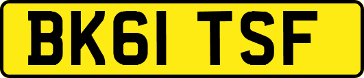 BK61TSF