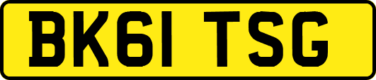 BK61TSG