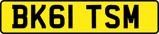BK61TSM