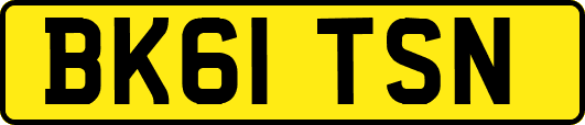 BK61TSN