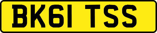 BK61TSS