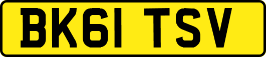 BK61TSV