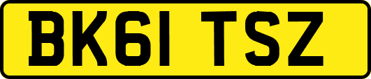 BK61TSZ