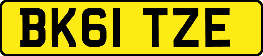 BK61TZE