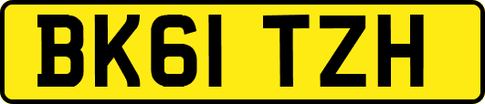 BK61TZH
