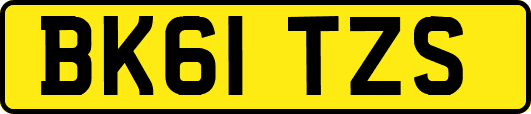 BK61TZS