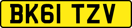 BK61TZV