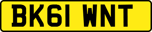 BK61WNT