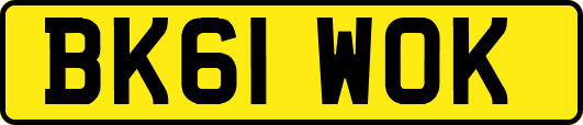 BK61WOK