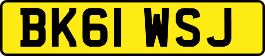 BK61WSJ