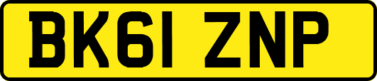 BK61ZNP