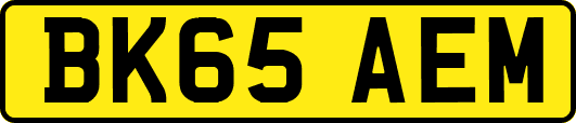 BK65AEM