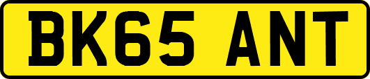 BK65ANT