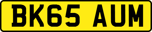 BK65AUM