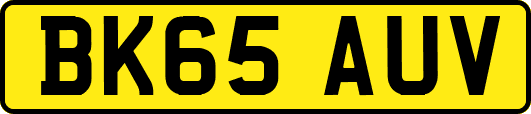BK65AUV