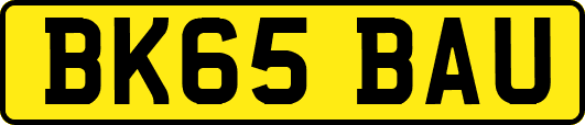 BK65BAU