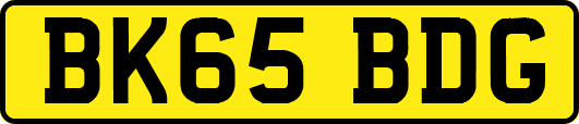 BK65BDG