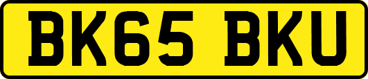 BK65BKU