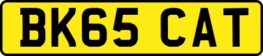 BK65CAT