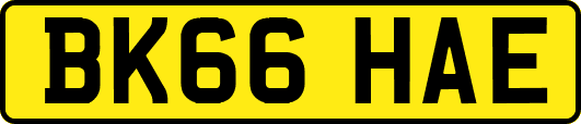 BK66HAE