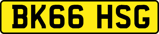 BK66HSG