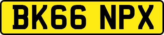 BK66NPX