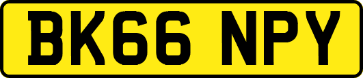 BK66NPY