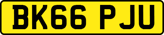 BK66PJU