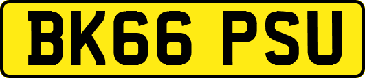 BK66PSU