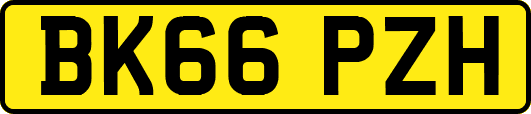 BK66PZH