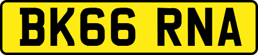 BK66RNA